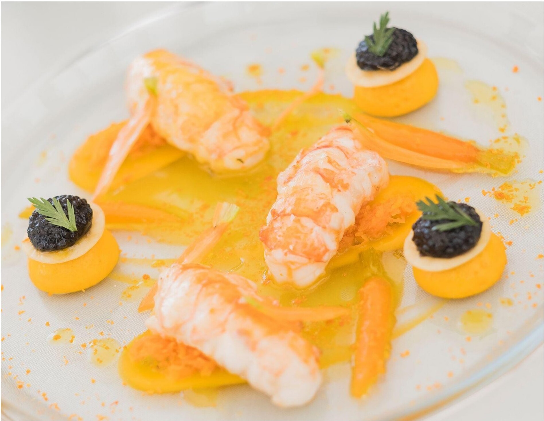 A gourmet dish with shrimp, caviar, and yellow puree.