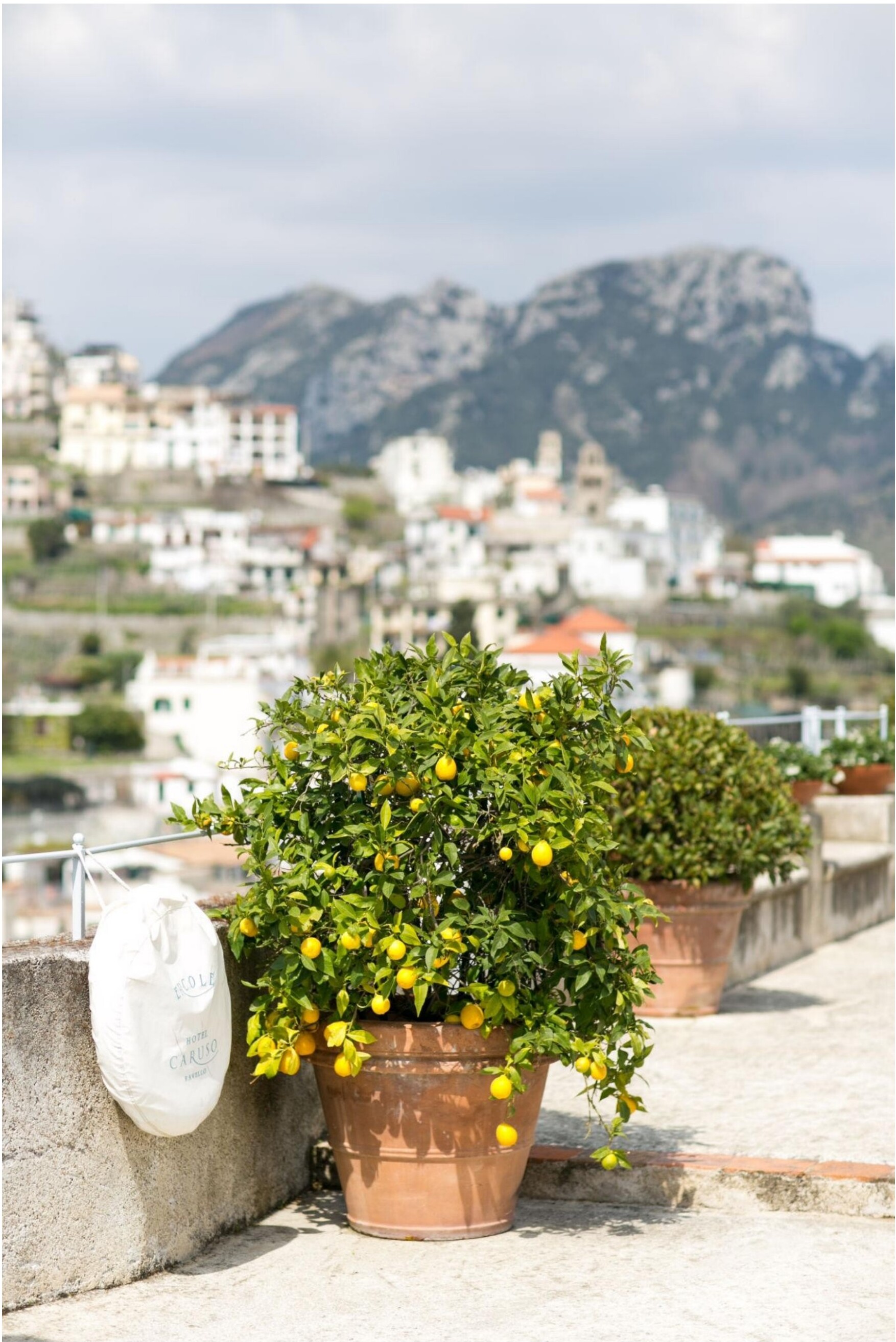 A terrace with potted lemon trees overlooking a coastal town.