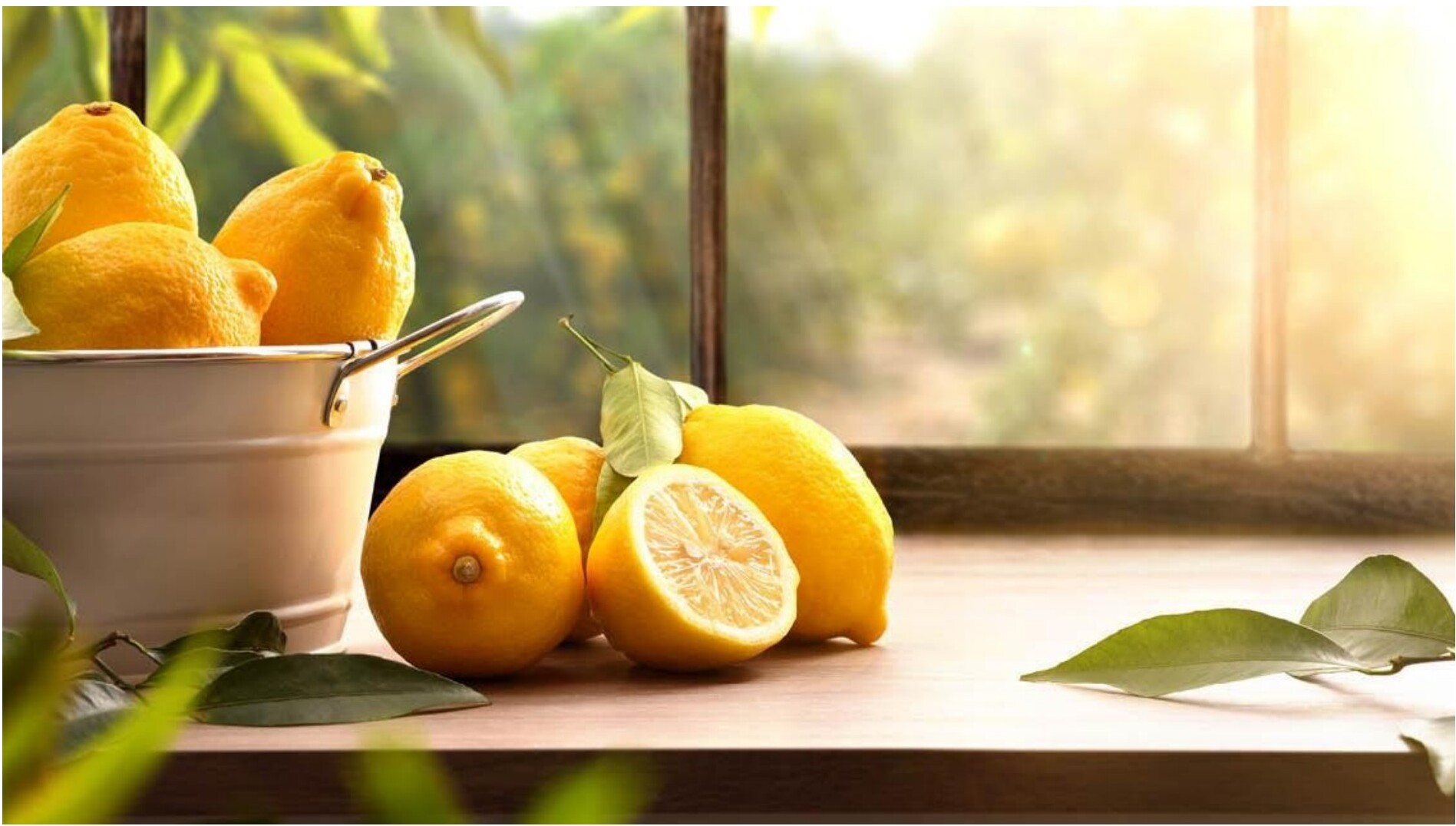 Fresh lemons on a windowsill in sunlight.